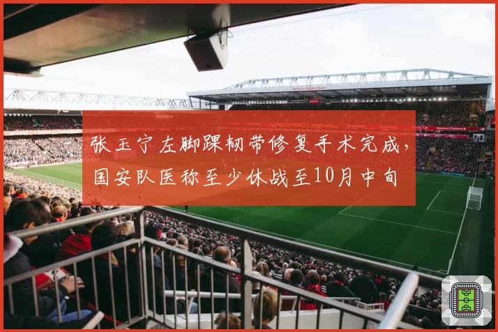 张玉宁左脚踝韧带修复手术完成，国安队医称至少休战至10月中旬