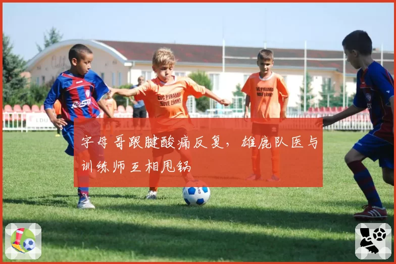字母哥跟腱酸痛反复，雄鹿队医与训练师互相甩锅